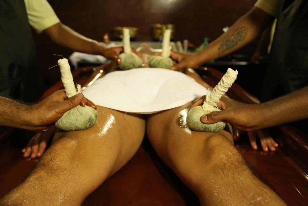 The Comprehensive Study on Ashwagandha: The Panacea of Ayurvedic Medicine and its Modern Applications
