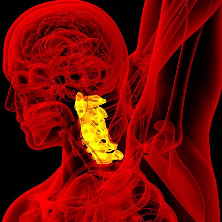 Slip Disc or Herniated Disc Ayurveda and Panchakarma therapy