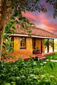 Embrace tranquillity in thoughtfully designed spaces that provide a peaceful haven for relaxation and rejuvenation. Surrounded by nature, each cottage offers privacy and comfort.