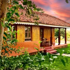 Embrace tranquillity in thoughtfully designed spaces that provide a peaceful haven for relaxation and rejuvenation. Surrounded by nature, each cottage offers privacy and comfort.