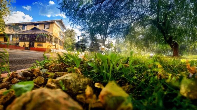 Exterior view of the serene Brahman Centre at Indus Valley Ayurvedic Centre (IVAC), a peaceful retreat offering traditional Ayurvedic treatments and wellness programs in a natural, tranquil setting.