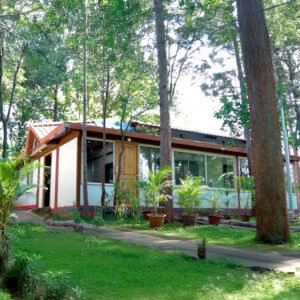 Premium Villas at Indus Valley Ayurvedic Centre: Indulge in luxury amidst nature’s beauty.