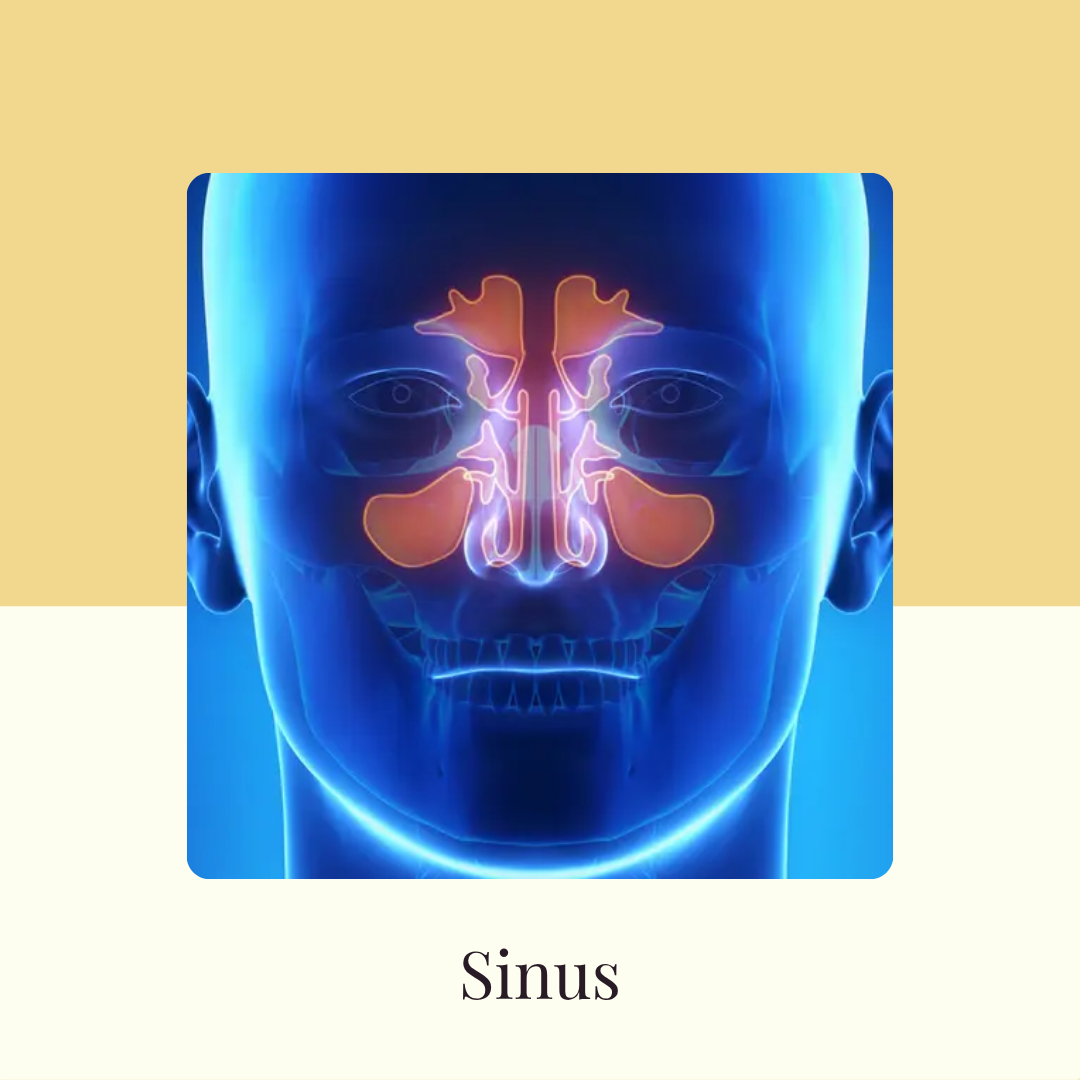 Sinus