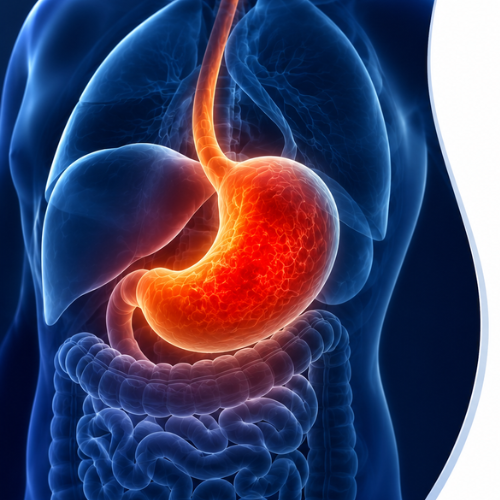 Serene Ayurvedic IBS care and natural digestive wellness support